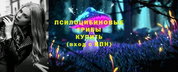 дживик Заволжск