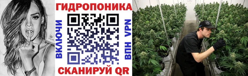 Бошки марихуана OG Kush Енисейск