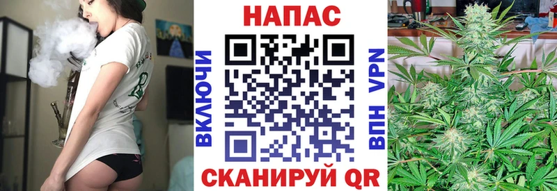 Шишки марихуана план  Купить  Енисейск 